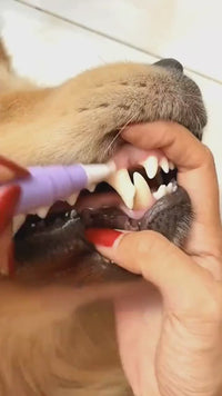 Glambrush - Limpiador dental para mascotas  COMPRE 1 y LLEVE 2 GRATIS™